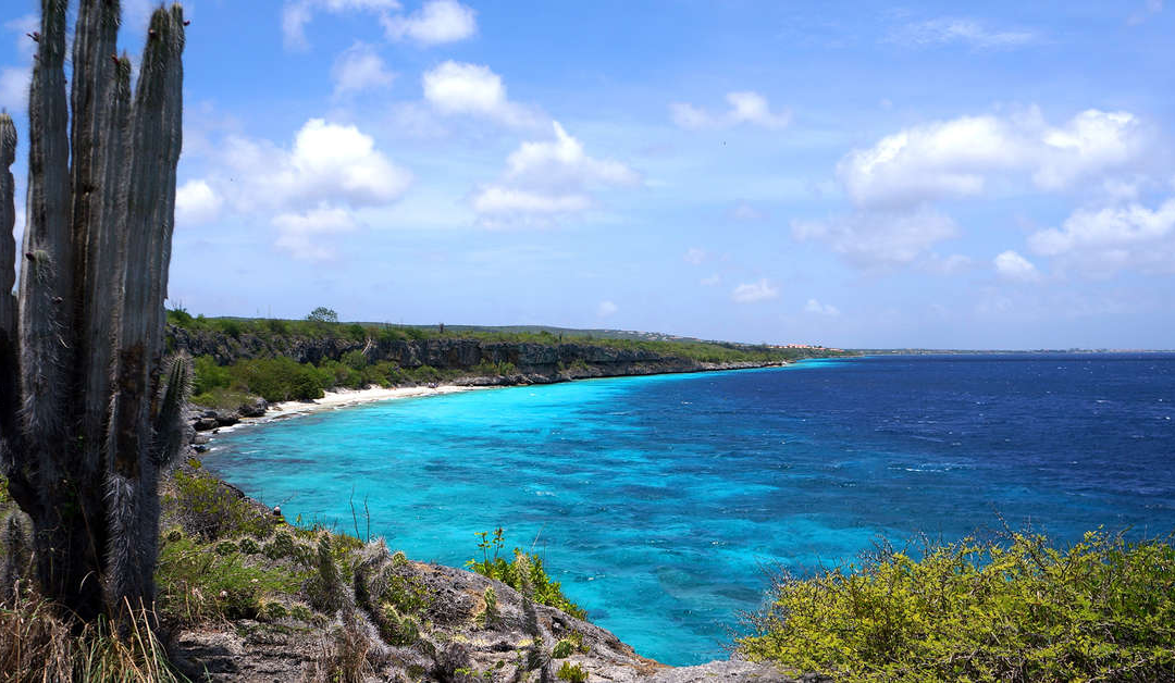 Discover Bonaire: Plunge into Adventure and Discover Nature’s Marvels!