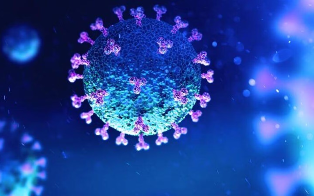 Alaskapox: Unveiling a Novel Zoonotic Virus in the Frozen North