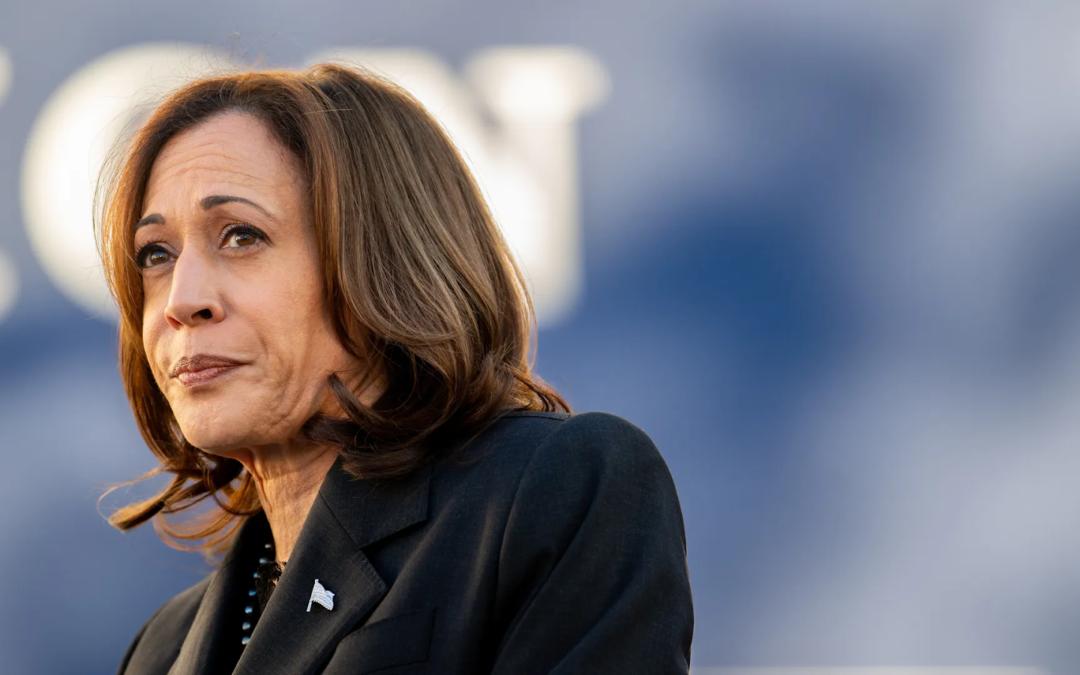 Kamala Harris’ Strategic Efforts to Burst Biden Campaign’s Information Bubble