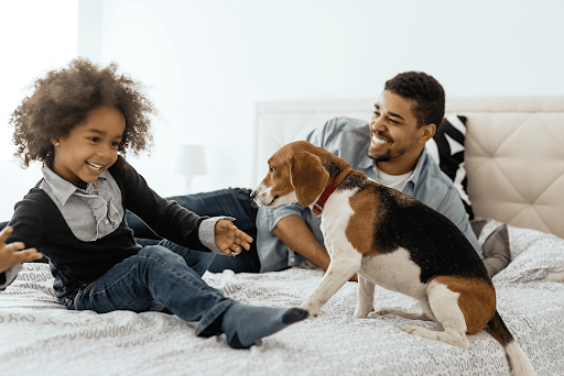 Unleash the Benefits: How Pet Ownership Can Transform Your Life!