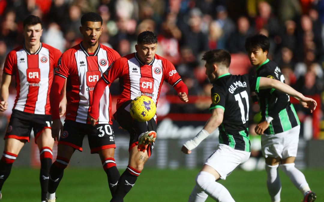 Brighton Brilliance Batters Blades: A Record Away Win Sees Brighton Triumph 5-0