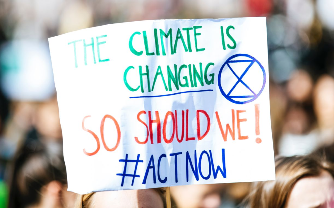 Embracing Interdisciplinarity: Educating Future Citizens on Climate Change