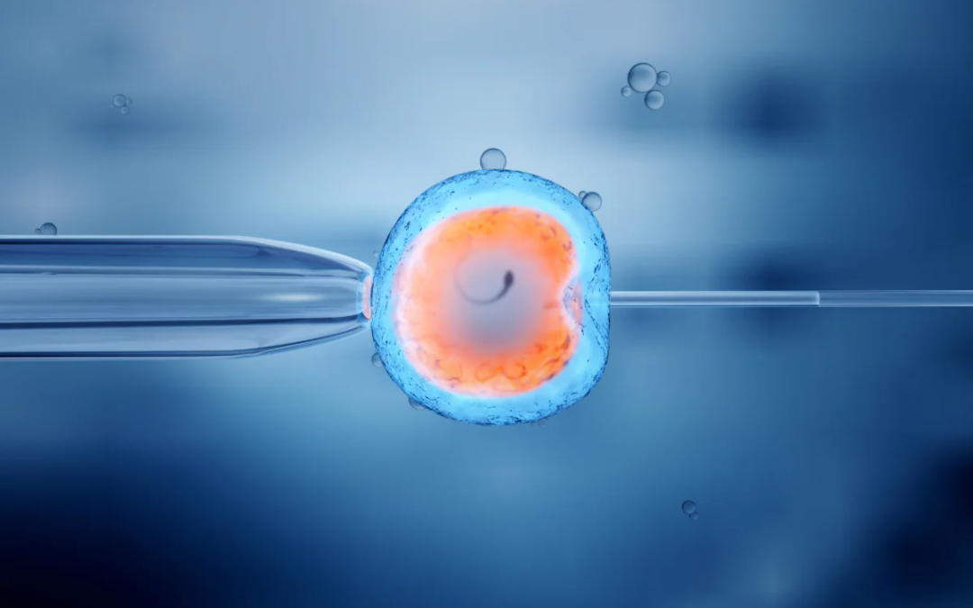 Alabama Embryo Ruling Stirs Controversy, Raising National Stakes