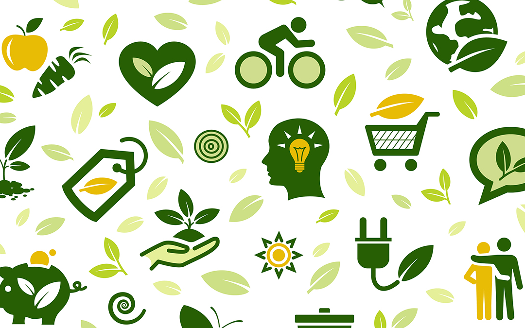 From Trash to Treasure: How 2024 is Turning Food Scraps into Fashion Statements