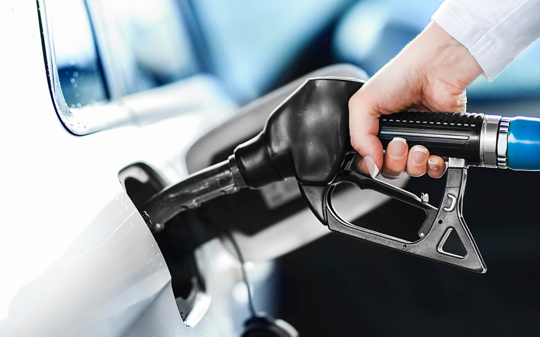 Did You Know Your Leftovers Can Power Your Car?