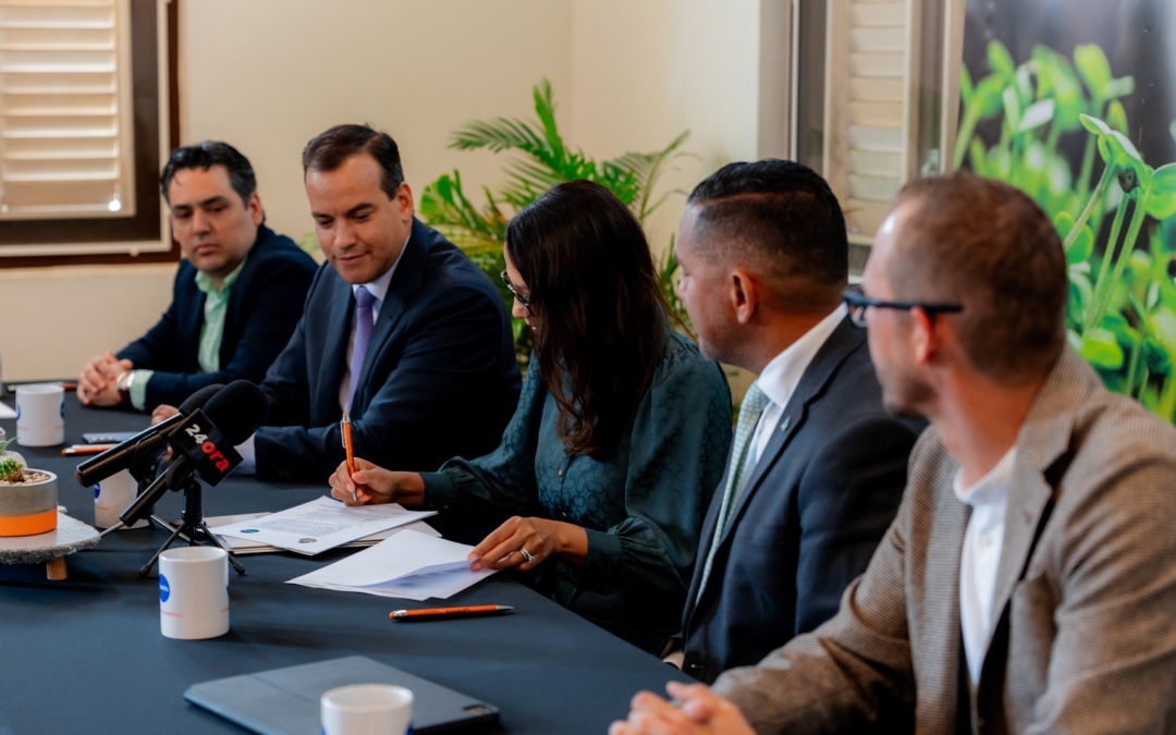 Aruba Cultivates the Future: Agrifund Launched for a Thriving Agricultural Sector