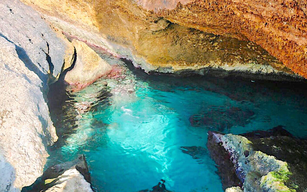 Gem of the Week: Unveiling the Natural Pool near Bushiribana Ruins