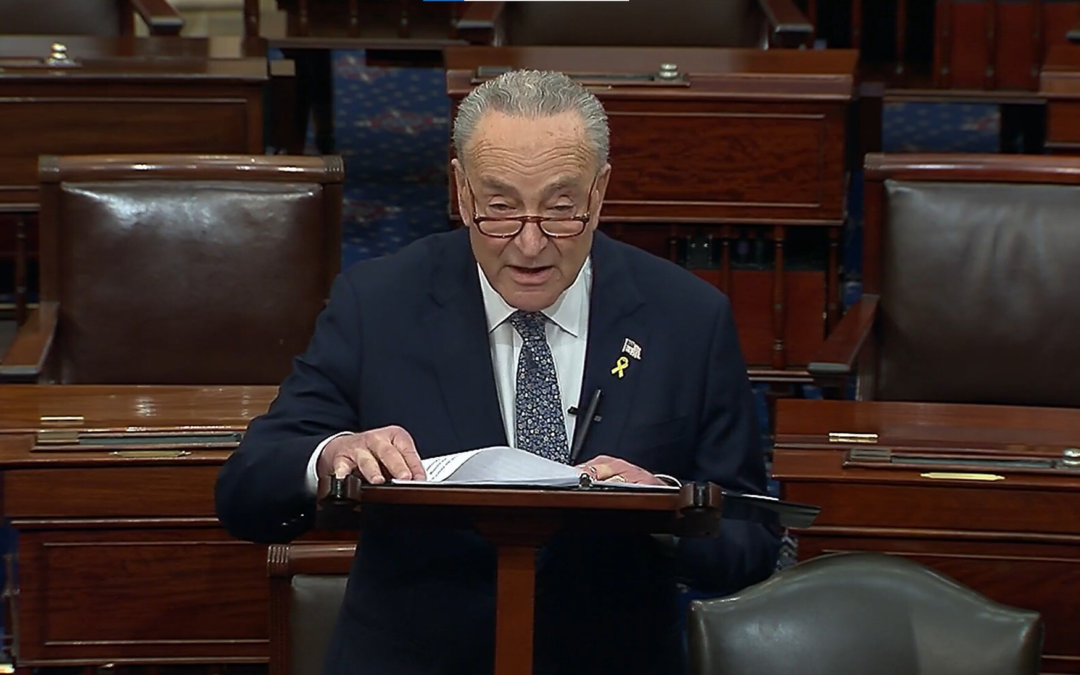 Schumer calls for a new election in Israel after criticizing Netanyahu’s leadership skills