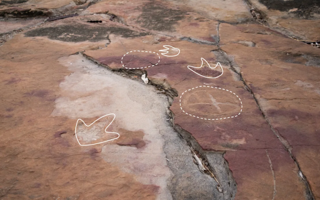 Ancient Etchings Found Alongside Dinosaur Tracks Hint at Early Human Interaction with Prehistoric Past