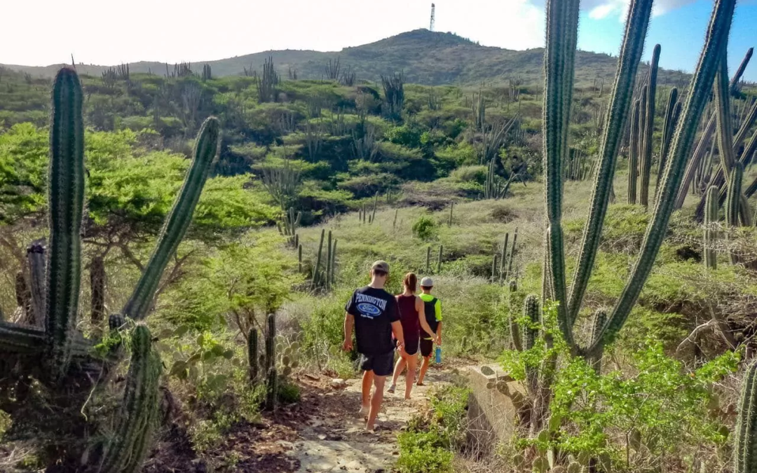 Exploring Aruba’s Natural Beauty: The Jamanota Hiking Trail Adventure