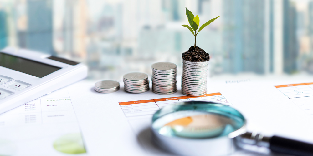 Investment Landscape: A Beginner’s Guide.