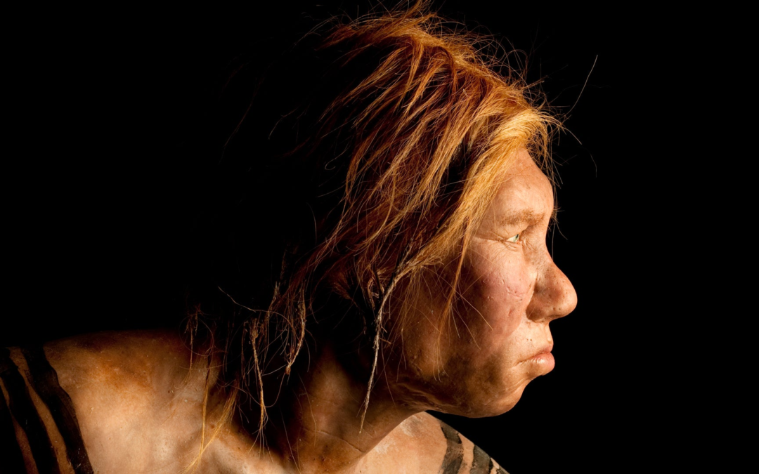 Neanderthals Were Not Inferior To Humans
