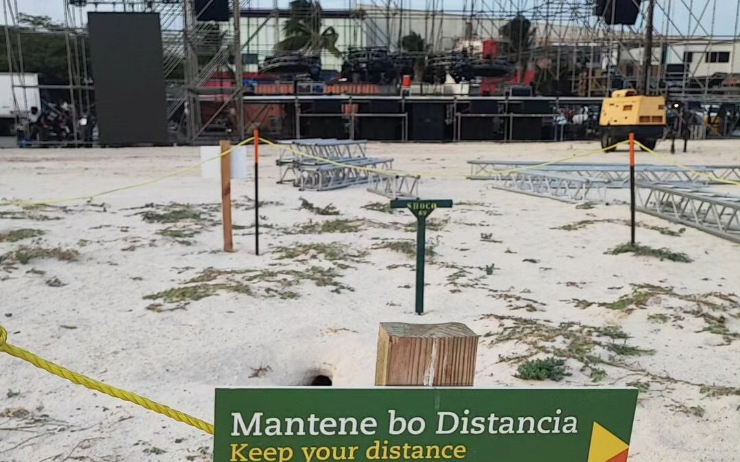 Sudden Venue Change for Aruba’s Flip Flop Festival to Protect Local Wildlife