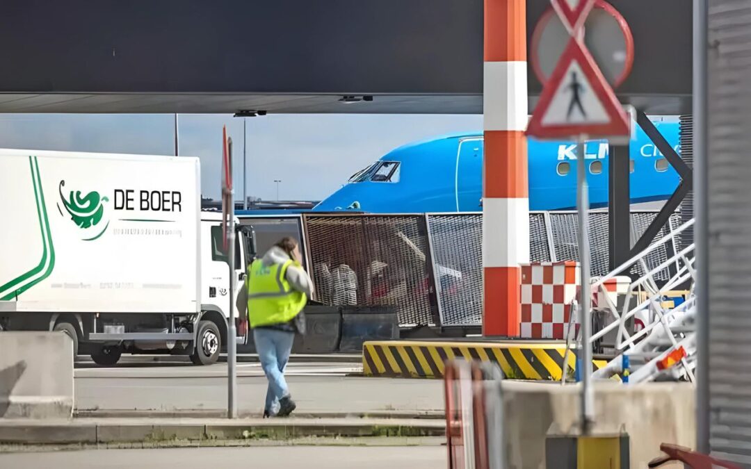 Tragic Incident at Schiphol Airport: Ground Worker Sucked into Jet Engine