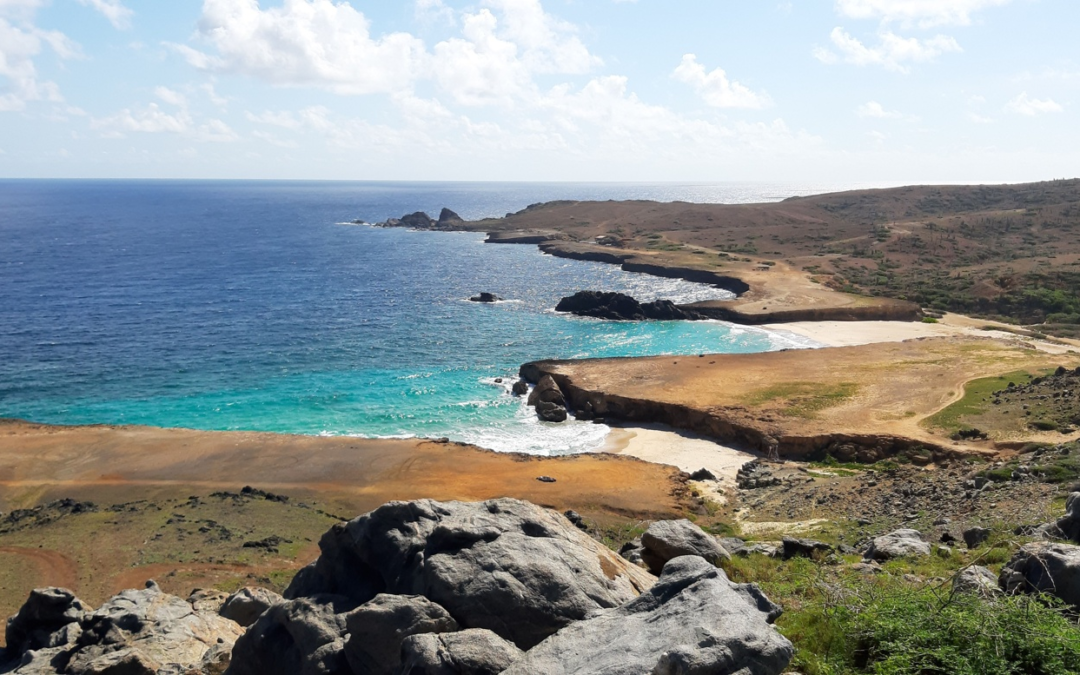 IPDC Launches Report on Climate Adaptation Status With Contributions from All Dutch Caribbean Islands