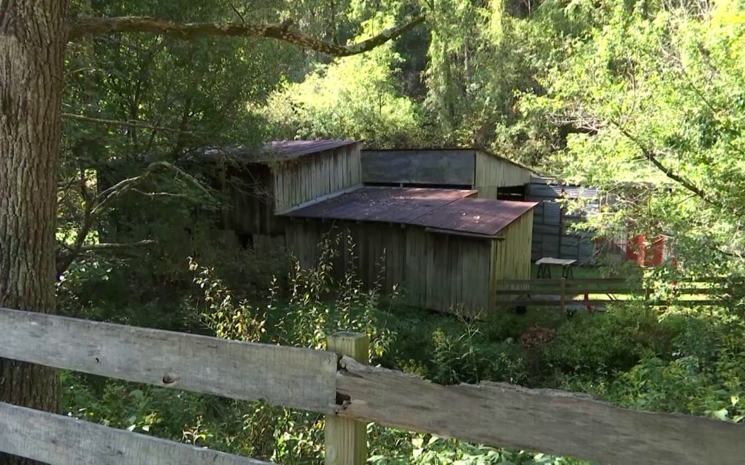White Couple Accused of Adopting Black Children for Forced Labor on Their Farm