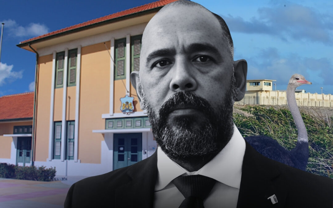 Court Ruling in the ‘Avestruz’ Case: Former Minister Sevinger Found Guilty