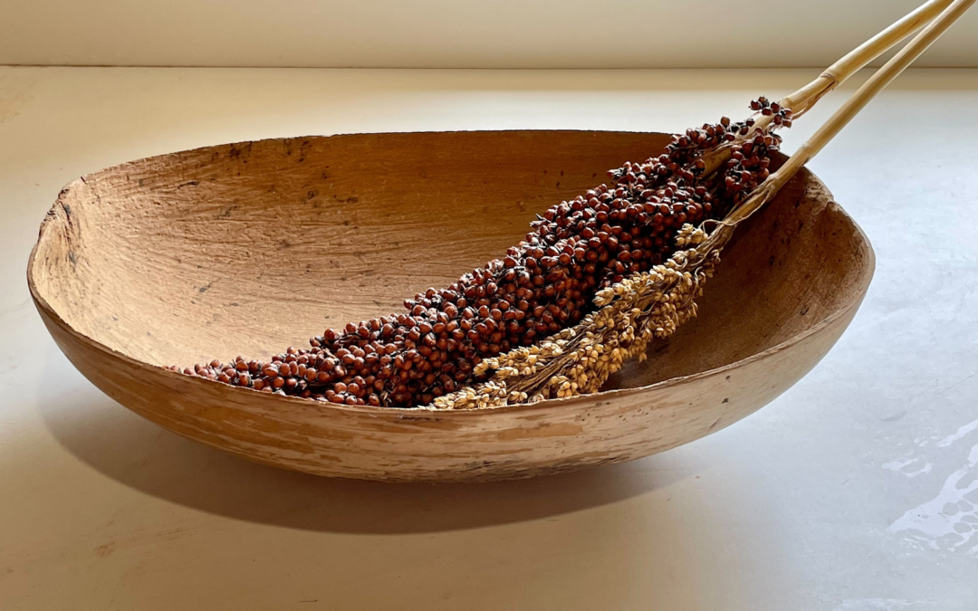Maishi Rabo (sorghum): A Staple of Aruban Cuisine and Agriculture