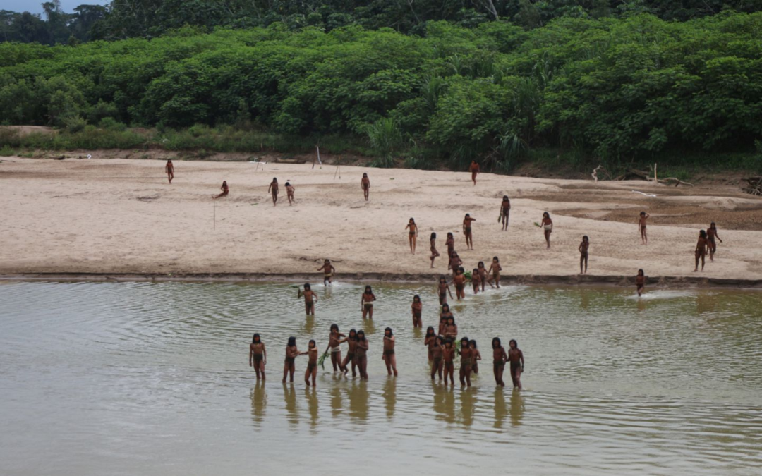 Uncontacted Indigenous People Sighted in Peru Near Logging Concessions