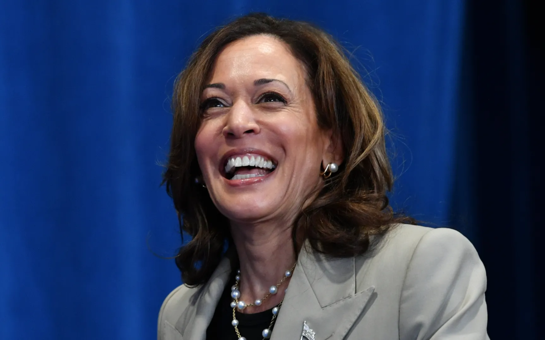 Kamala Harris Positioned to Lead Democrats After Biden’s Endorsement