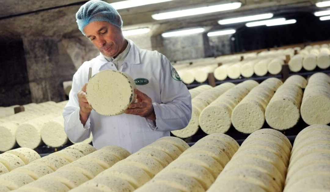 China Launches Probe into European Dairy Imports Amid Growing Trade Tensions