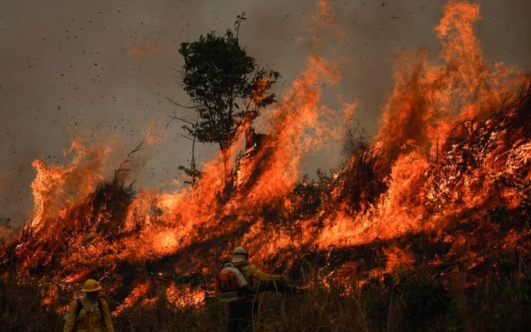 Brazil Mobilizes 1,500 Firefighters to Combat Amazon Wildfires Amid Severe Drought