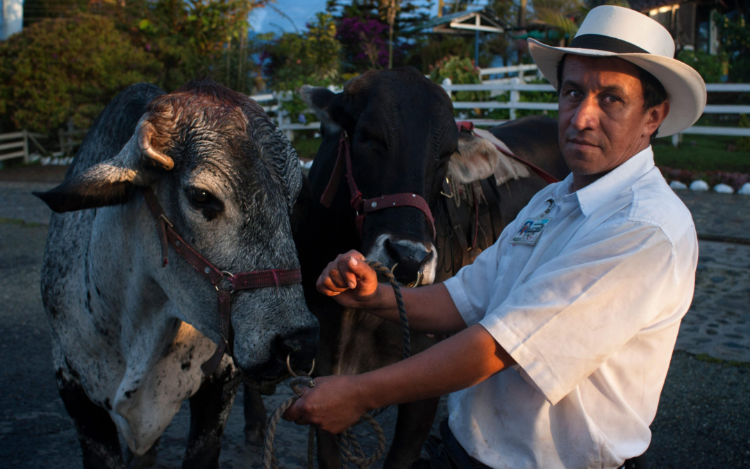 Aruba Prepares to Receive Beef from Colombia After 20 Years