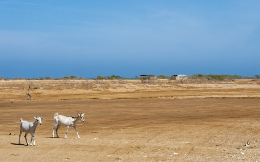 Bribery and Corruption in La Guajira: UNGRD Scandal Shakes Colombian Institutions