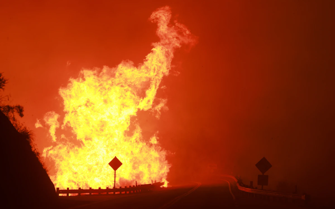 California and Nevada Wildfires Force Evacuations Amid Record Heat Warnings