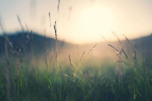 Whispers of Wisdom: How Silence Can Unlock Your Inner Potential in 2025