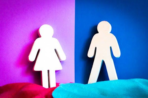 “The Gender Debate: Is Coexistence Possible in a Divided World?”