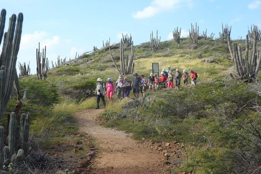 Discover Aruba’s Hidden Treasures: Hiking Adventures on a Desert Island