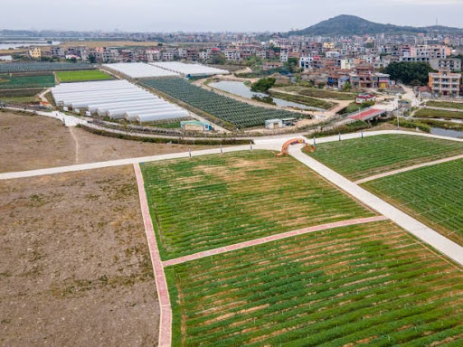 Agri Innovation Park and Sustainable Growth: The New Horizon for Aruba’s Agriculture
