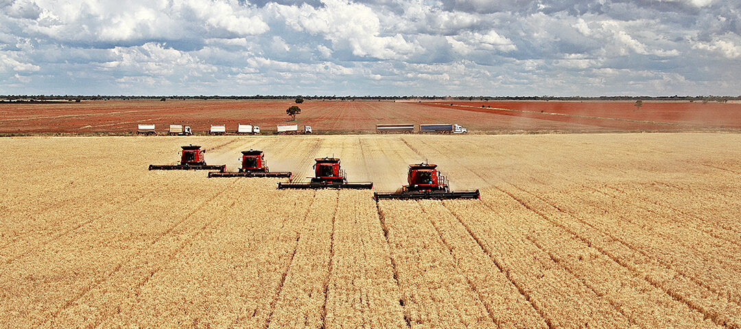 China’s Tariff War Tactic: Squeezing America’s Heartland