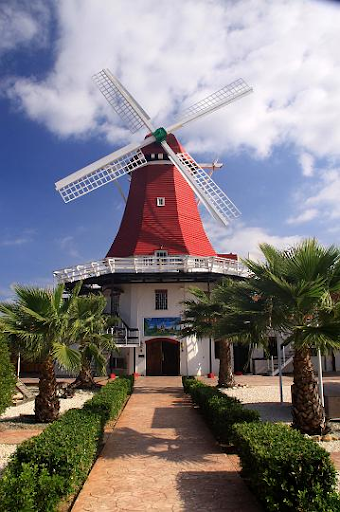 De Olde Molen: A Dutch Gem in Aruba