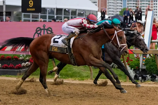 Journalism Triumphs in Thrilling Finish at 150th Preakness Stakes