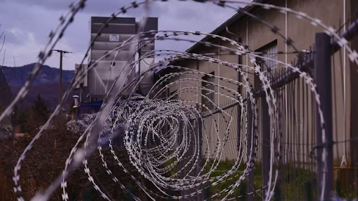 Chemical Castration Goes Global: A Controversial Cure for Repeat Offenders