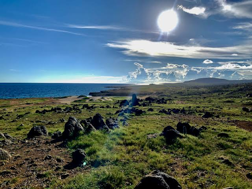 From Cactus Trails to Coastal Cliffs: Exploring Aruba One Step at a Time
