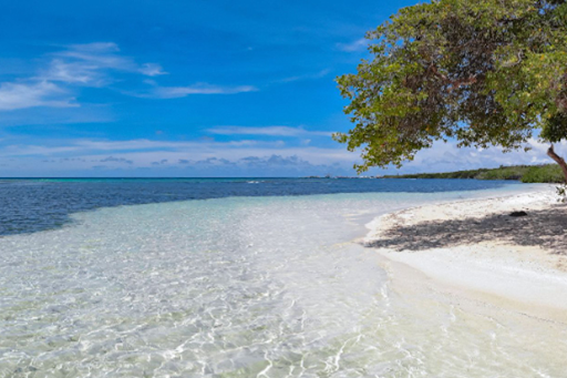 The Repeat Visitor Could Be Aruba’s Answer to Overtourism 